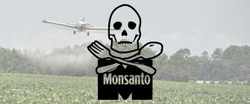04/10: Manifestação contra a Monsanto em Brasília terá participação de Grupo de ativismo vegano