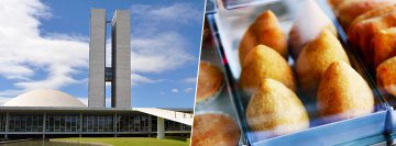 07/08: Evento em Brasília terá feirinha com setor vegano e stand de ativismo