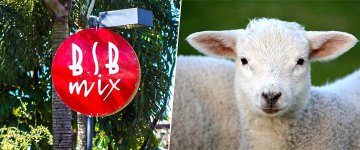 30/04 e 01/05: Famoso evento de Brasília terá stand de ativismo vegano