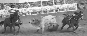 Abaixo assinado pede que STF derrube a PEC das vaquejadas