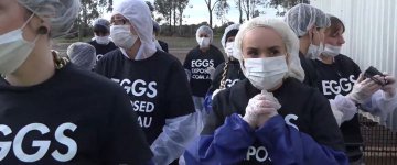 Ativistas invadem fazenda produtora de ovos e tentam interromper atividades do local