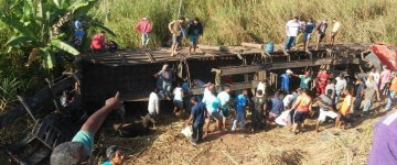 Caminhão com bois tomba em rodovia e população abate os sobreviventes