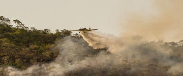 Campanha de arrecadação para combate ao fogo na Chapada dos Veadeiros ultrapassa meta em 24 horas