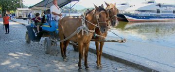 Cavalos serão substituídos por carros elétricos na Ilha de Paquetá (RJ)