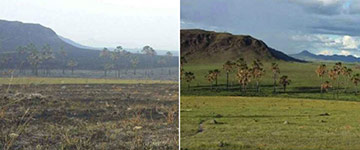 Chapada dos Veadeiros começa a se recuperar após o maior incêndio de sua história