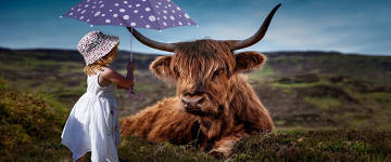 Colunista do The Guardian afirma que o fim da pecuária se aproxima