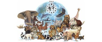 Conheça a Frente que percorre o Brasil fortalecendo a voz dos outros animais