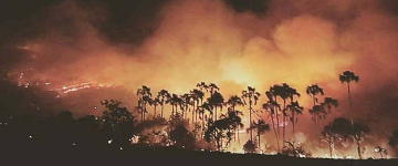 Fazendeiros são suspeitos de incêndio que atinge Chapada dos Veadeiros
