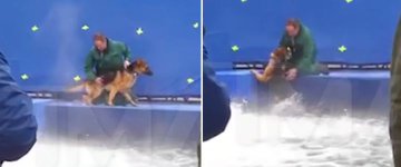 Filme norte-americano tem pré-estreia cancelada após acusação de maus-tratos a cão