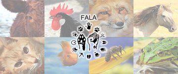 Frente de Ações pela Libertação Animal comemora 4 anos de vida