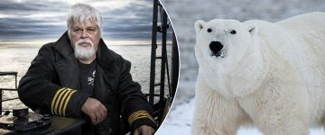 Greenpeace está apoiando caça de ursos polares, denuncia Capitão Paul Watson
