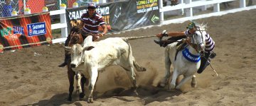 Juiz nega pedido de liminar e autoriza vaquejada na Paraíba