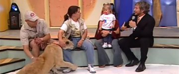 Leão ataca criança em programa de TV ao vivo no México