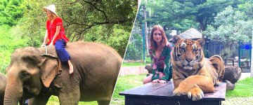 Marina Ruy Barbosa posa em fotos com animais explorados durante férias na Tailândia