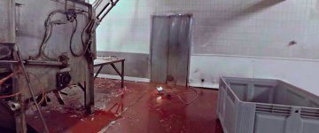 ONG publica imagem chocante em 360 graus de um matadouro