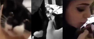 Youtuber é acusada de maus-tratos após publicar vídeo cuspindo na boca de gato