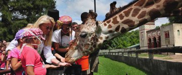 Zoológico de Buenos Aires fecha as portas e vai dar lugar a um eco parque